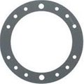 Speck Pumps Speck Pumps 2308750005 Gasket for Clamping Ring 2308750005